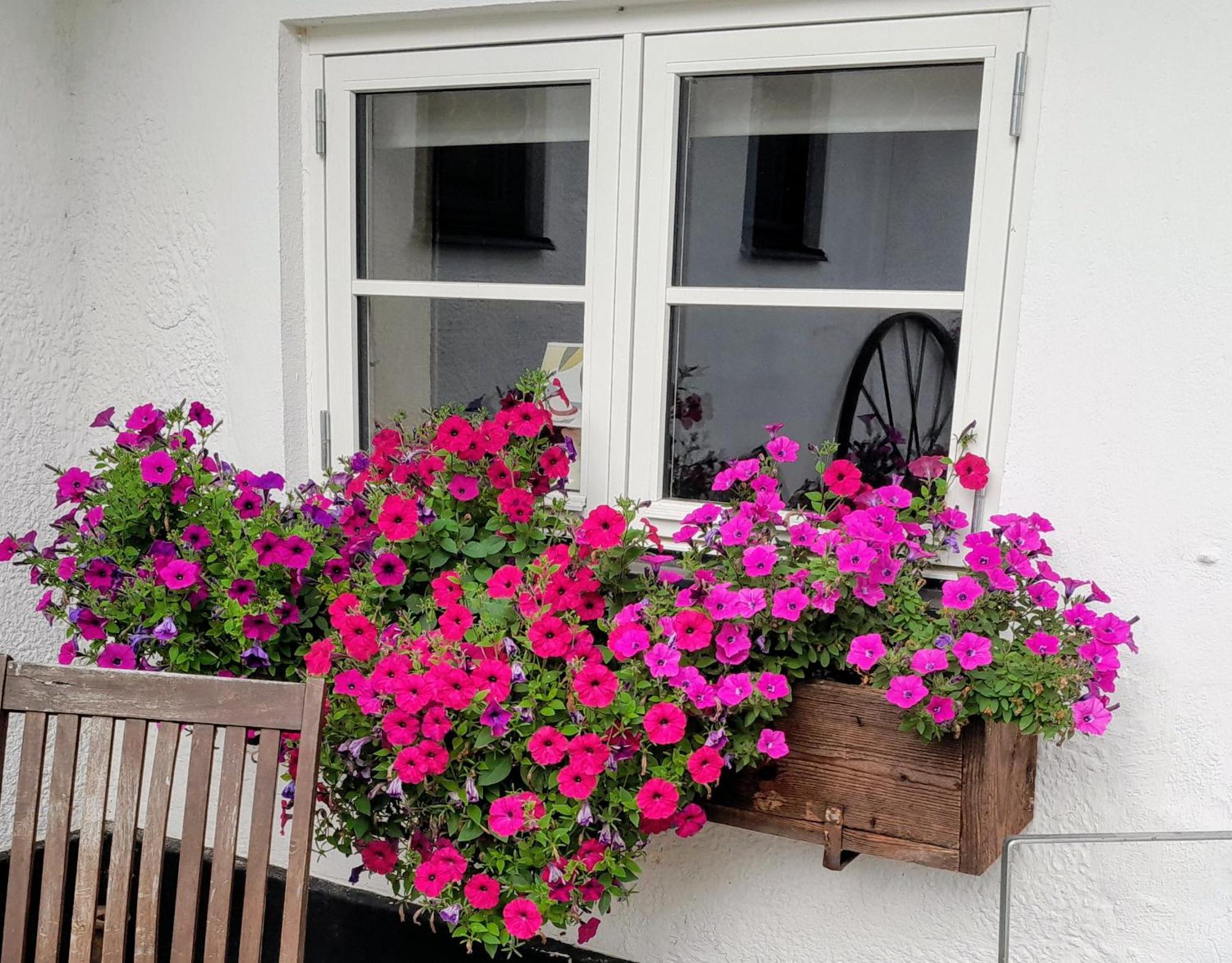Broesarp Kaellagarden Stora Gardslaegenheten Exterior foto